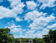 海南：放寬社會(huì)資本進(jìn)入農(nóng)村的限制！中國大農(nóng)場時(shí)代來臨？